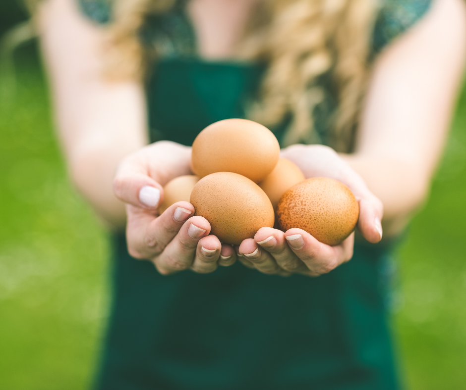 Animal Sourced Foods