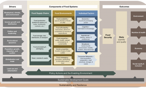 Food Systems Framework