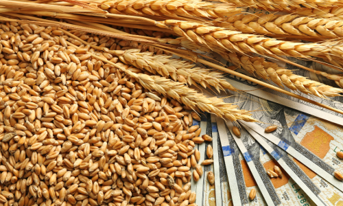 Ukraine and global nutrition