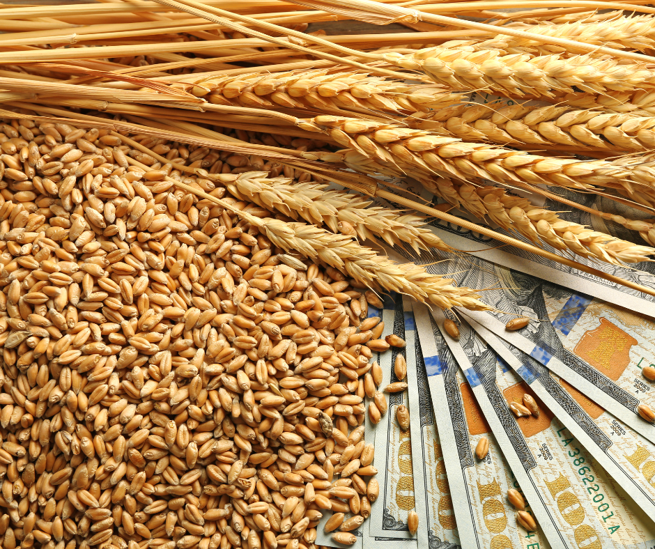 Ukraine and global nutrition