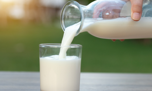 Plant based beverages compared to cows milk