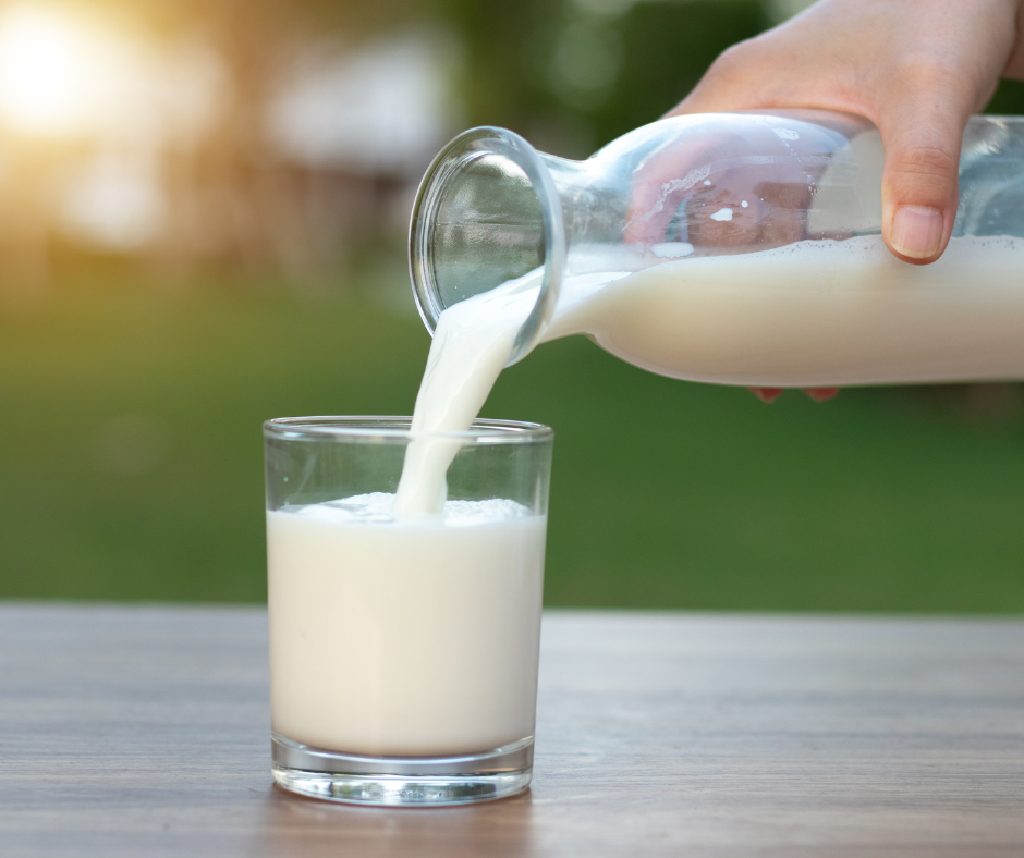 Plant based beverages compared to cows milk